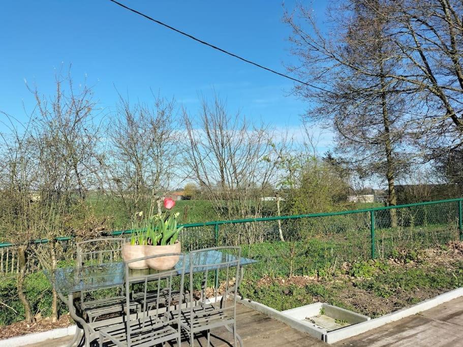 Gite Rural La Ferme Du Semeur-Zaaiershof Lessines Exterior photo